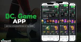 Discovering the Benefits of BC App Partners