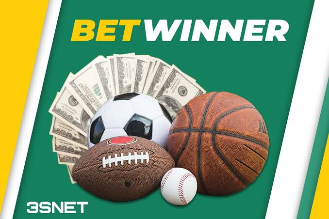 Exploring BetWinner in Hungary A Comprehensive Guide
