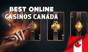 The Complete Guide to Canadian Gambling Sites