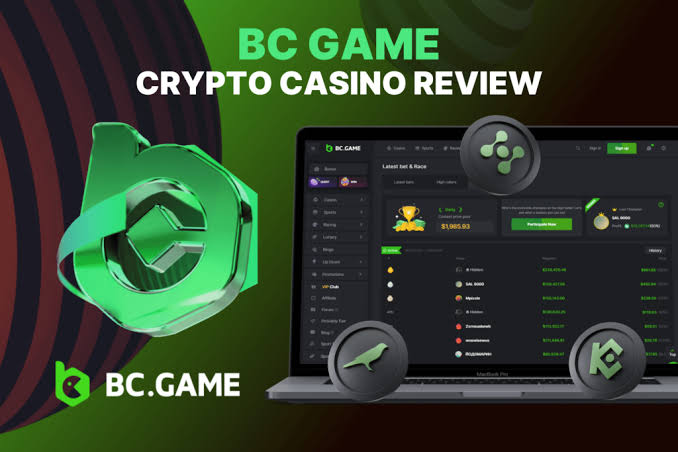 Understanding the BC.Game Mirror Your Guide to Accessing BC.Game Safely Understanding the BC.Game Mirror Your Guide to Accessing BC.Game Safely