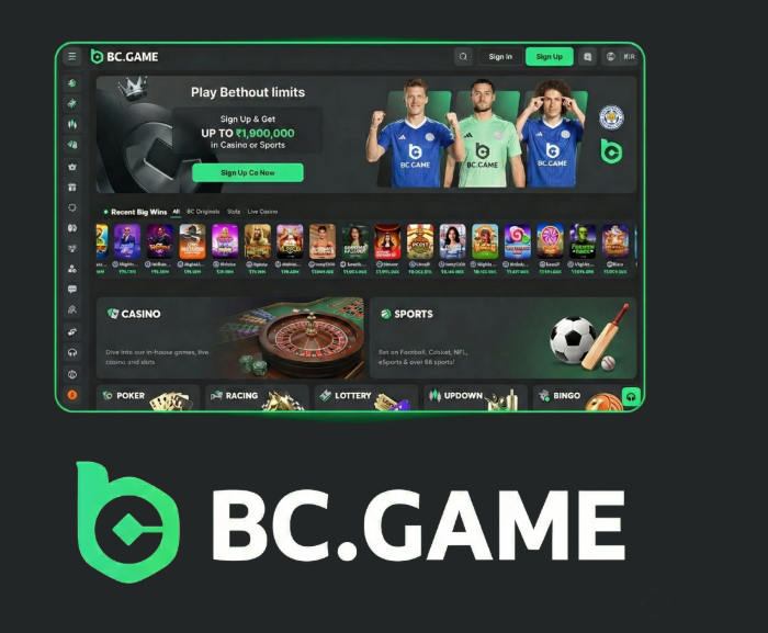 Exploring BC.Game Casino and Sportsbook A Guide to Gaming and Betting